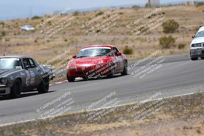 media/May-03-2025-Lucky Dog Racing (Sat) [[206de64b9d]]/Turn 6 (150pm-230pm)/